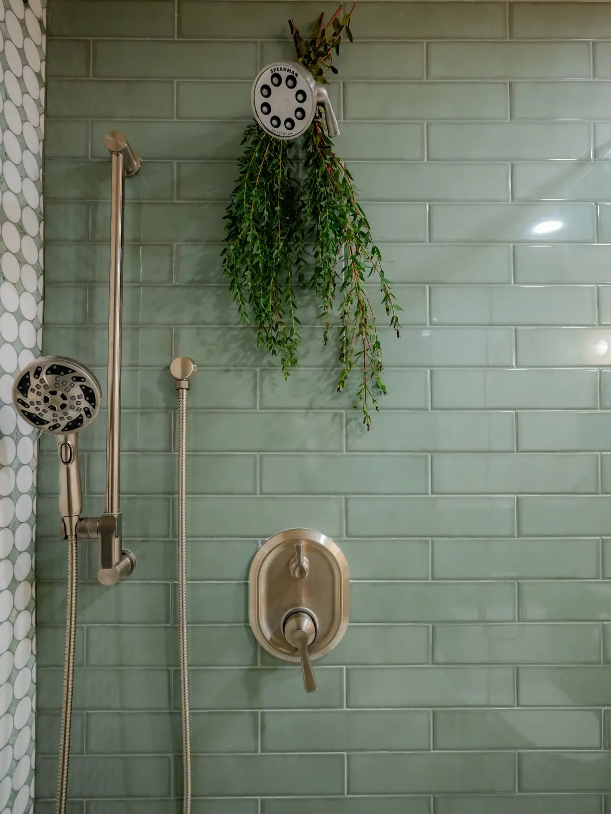 Sea-glass subway tile with a hanging plant
